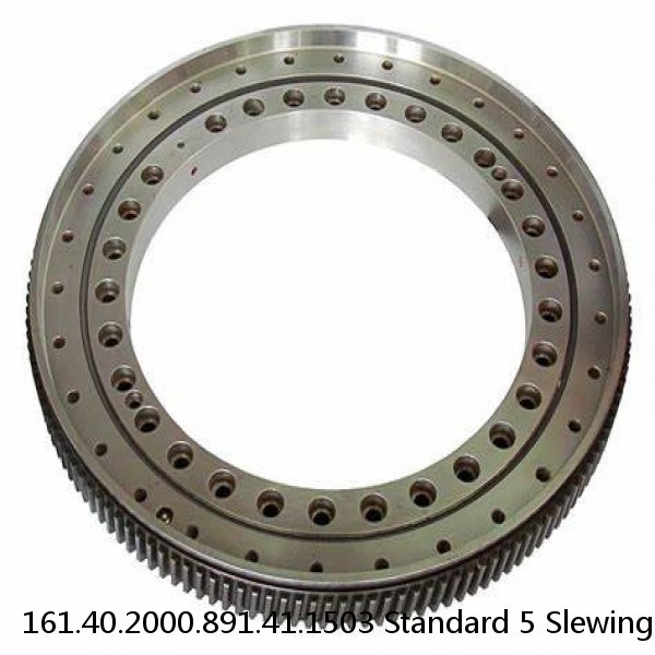 161.40.2000.891.41.1503 Standard 5 Slewing Ring Bearings