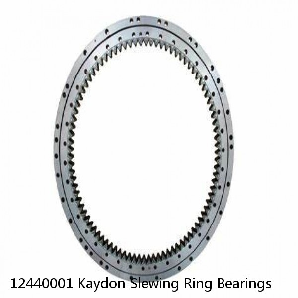 12440001 Kaydon Slewing Ring Bearings