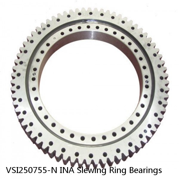 VSI250755-N INA Slewing Ring Bearings