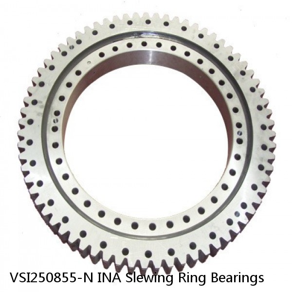 VSI250855-N INA Slewing Ring Bearings