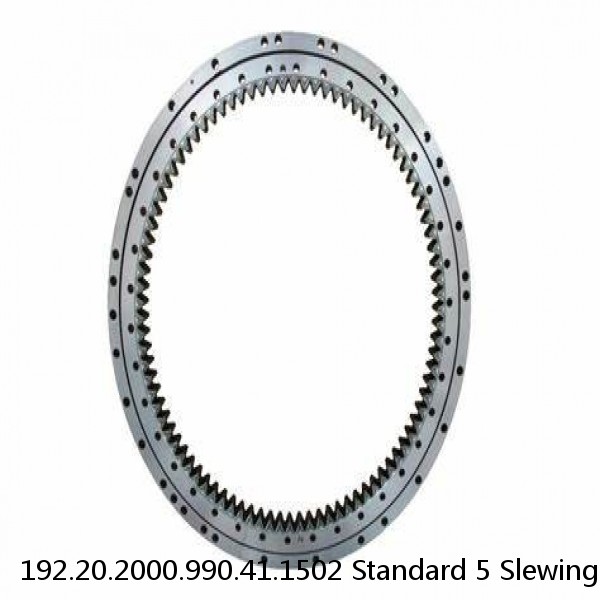 192.20.2000.990.41.1502 Standard 5 Slewing Ring Bearings