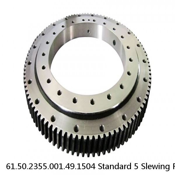 61.50.2355.001.49.1504 Standard 5 Slewing Ring Bearings