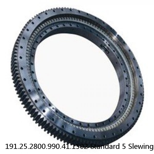 191.25.2800.990.41.1502 Standard 5 Slewing Ring Bearings