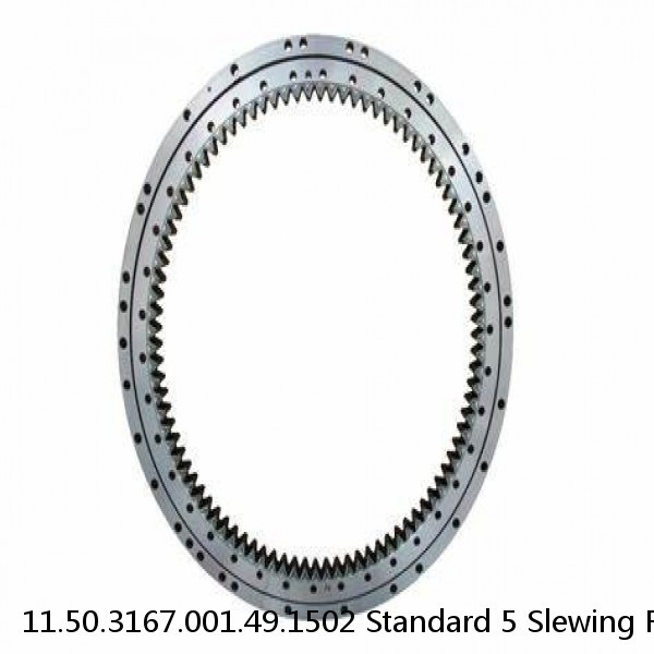 11.50.3167.001.49.1502 Standard 5 Slewing Ring Bearings