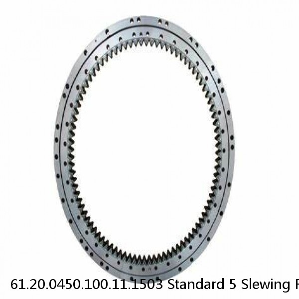 61.20.0450.100.11.1503 Standard 5 Slewing Ring Bearings