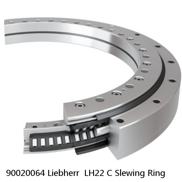 90020064 Liebherr  LH22 C Slewing Ring