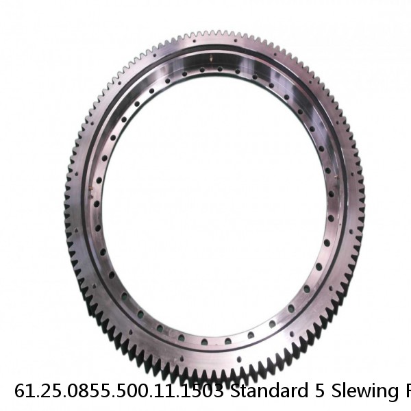 61.25.0855.500.11.1503 Standard 5 Slewing Ring Bearings