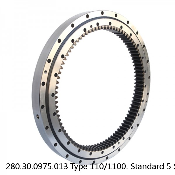 280.30.0975.013 Type 110/1100. Standard 5 Slewing Ring Bearings