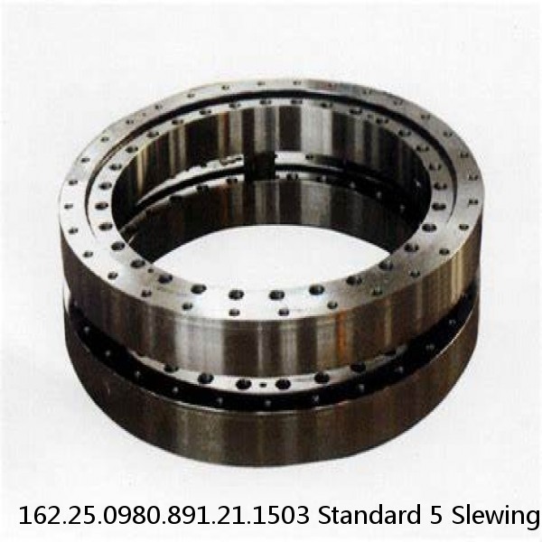 162.25.0980.891.21.1503 Standard 5 Slewing Ring Bearings