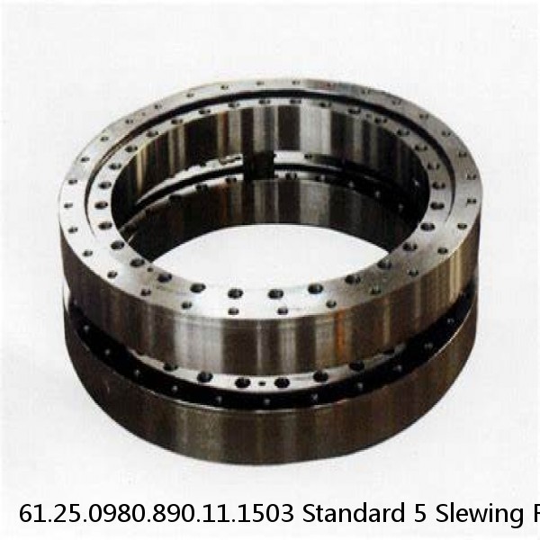 61.25.0980.890.11.1503 Standard 5 Slewing Ring Bearings