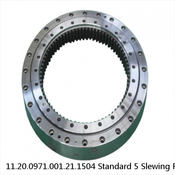 11.20.0971.001.21.1504 Standard 5 Slewing Ring Bearings