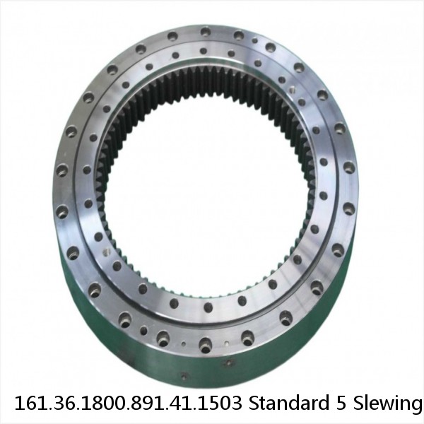 161.36.1800.891.41.1503 Standard 5 Slewing Ring Bearings