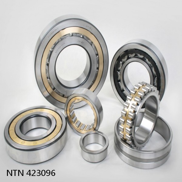 423096 NTN Cylindrical Roller Bearing