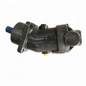 China Hydraulic Piston Pump Rexroth A10V Series