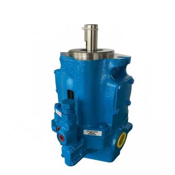 China Hydraulic Piston Pump Rexroth A10V Series