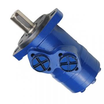 BMM Orbit hydraulic motor