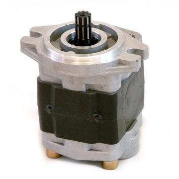 A10vso28 Series Hydraulic Pump Parts of Set Plate