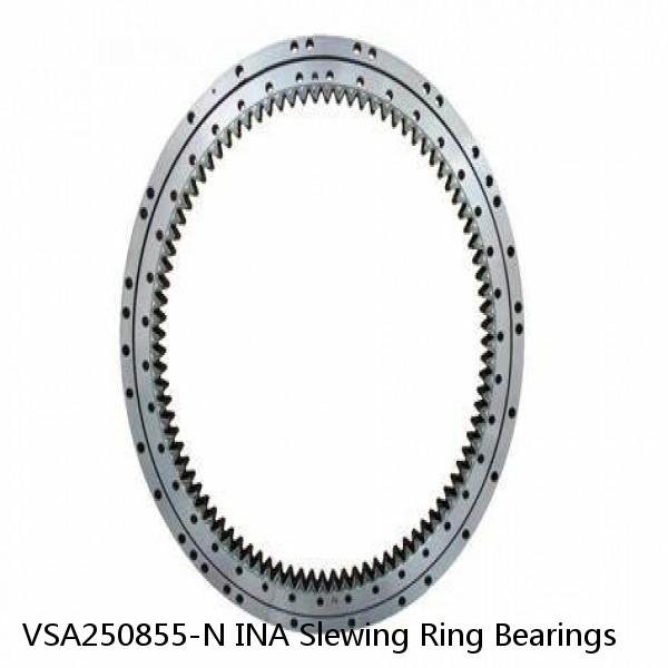 VSA250855-N INA Slewing Ring Bearings