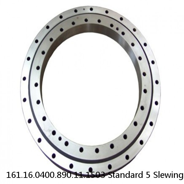 161.16.0400.890.11.1503 Standard 5 Slewing Ring Bearings