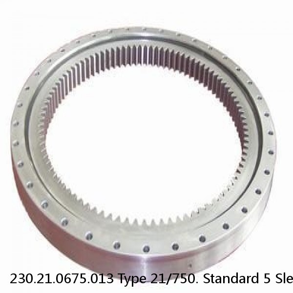 230.21.0675.013 Type 21/750. Standard 5 Slewing Ring Bearings