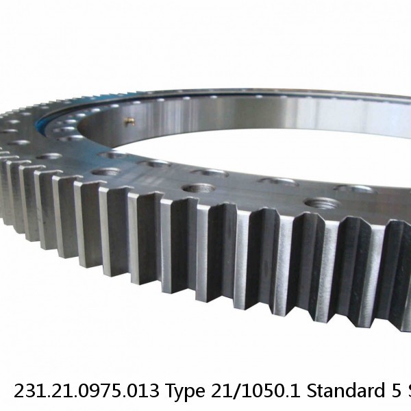 231.21.0975.013 Type 21/1050.1 Standard 5 Slewing Ring Bearings