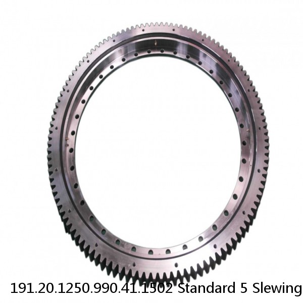 191.20.1250.990.41.1502 Standard 5 Slewing Ring Bearings