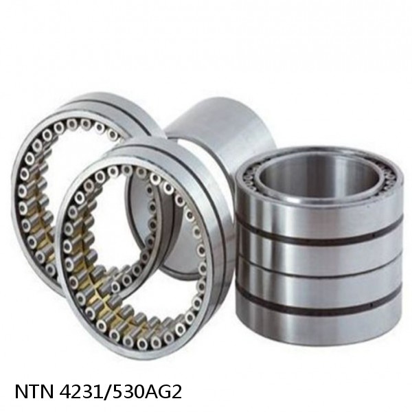 4231/530AG2 NTN Cylindrical Roller Bearing