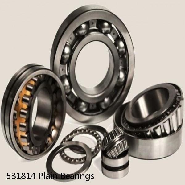 531814 Plain Bearings